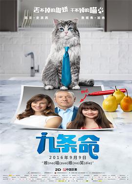 电视连续剧惊弦免费观看